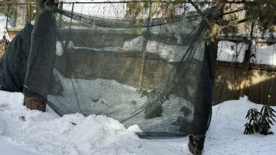 zachitnaiy setka ot solntsa